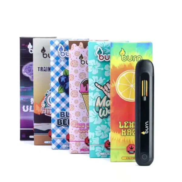 burn-disposable-pens-2